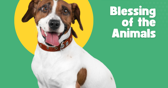 Blessing of the Animals