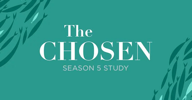 Women's Bible Study