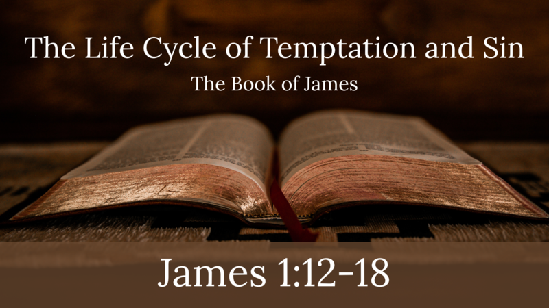 The Life Cycle of Temptation and Sin