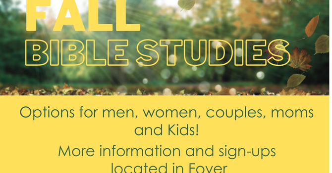 Fall Bible Studies 