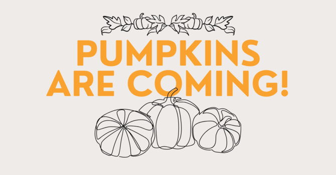 Pumpkins Are Coming! image
