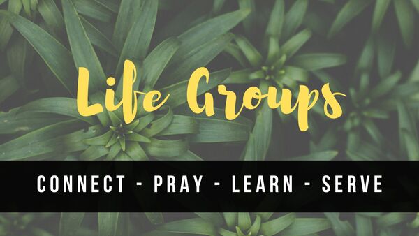 Sign up for Life Groups