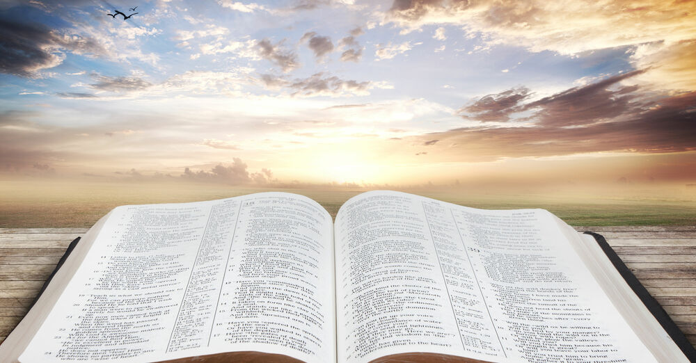 Wednesday Morning Bible Study