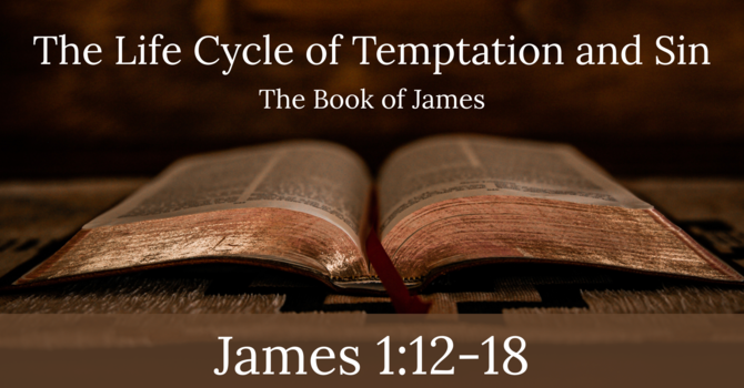 The Life Cycle of Temptation and Sin