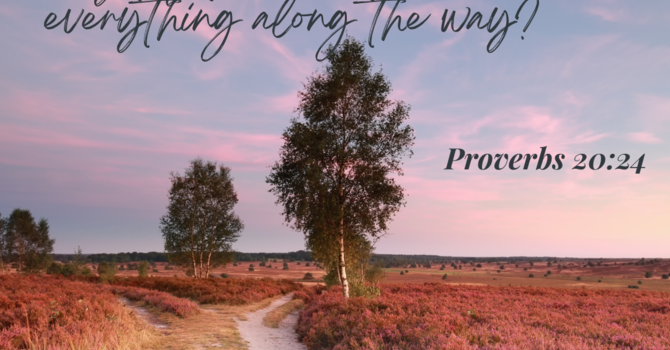 Proverbs 20:24 image