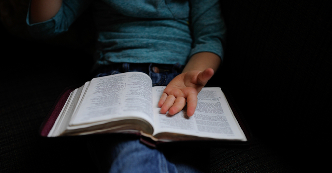 Ladies Bible Study