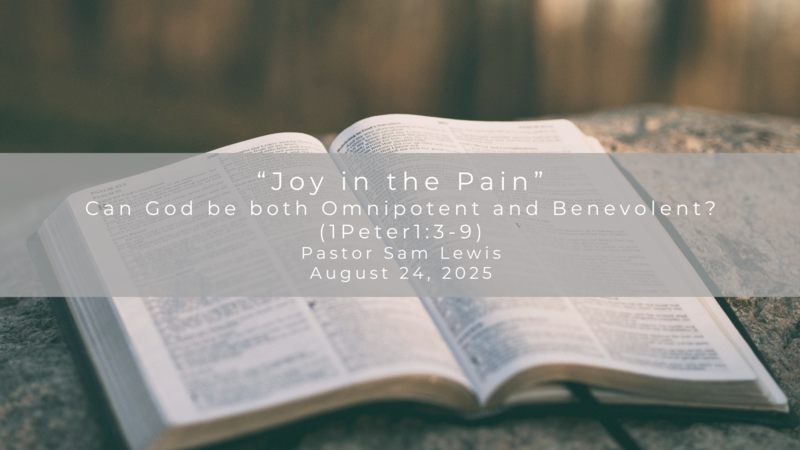 Joy In The Pain