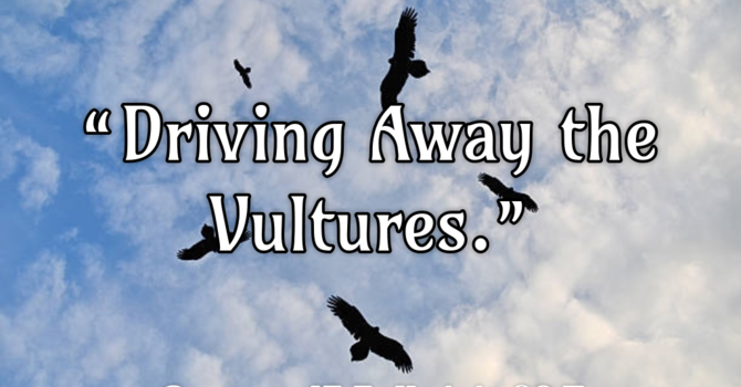 Driving Away the Vultures