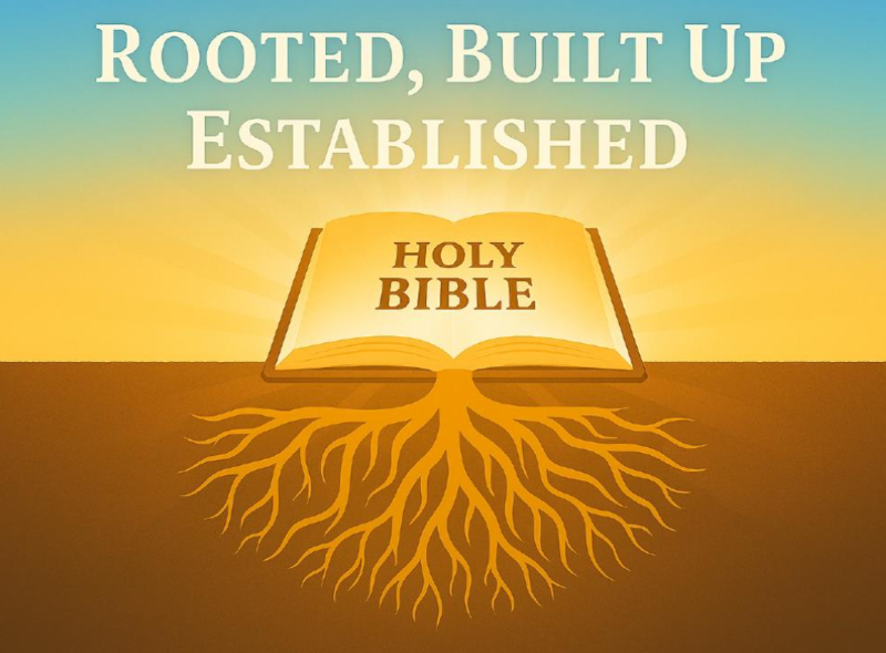 Rooted, Built Up, Established