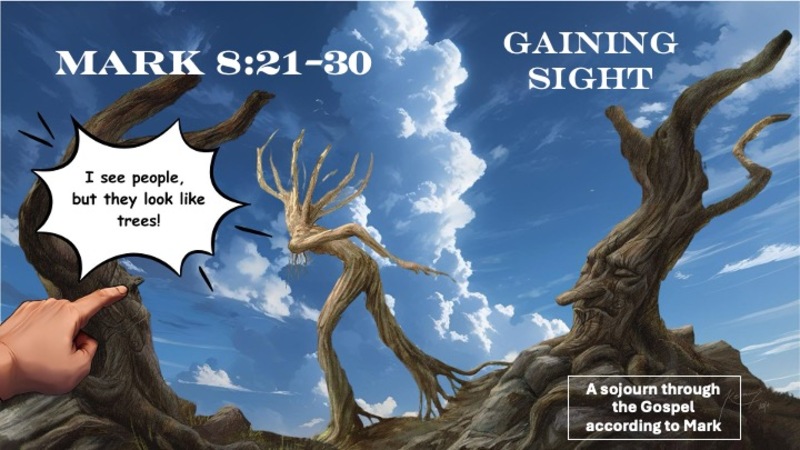 Gaining Sight
