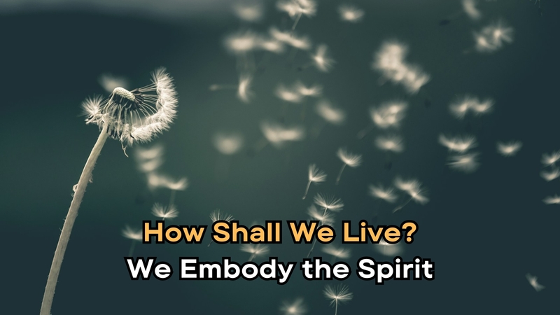 We Embody the Spirit