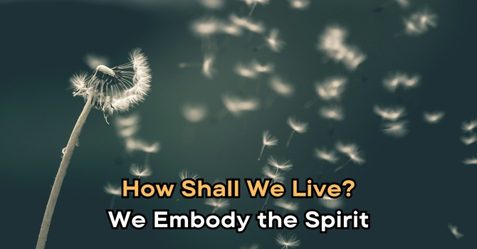 We Embody the Spirit