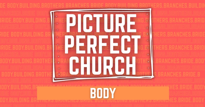 Body
