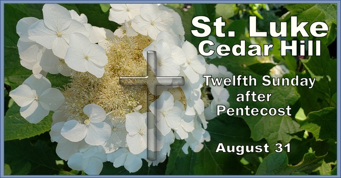 Services for the Twelfth Sunday after Pentecost