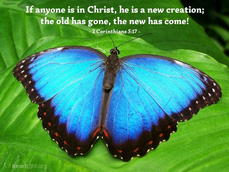 Wholeness ... in Christ