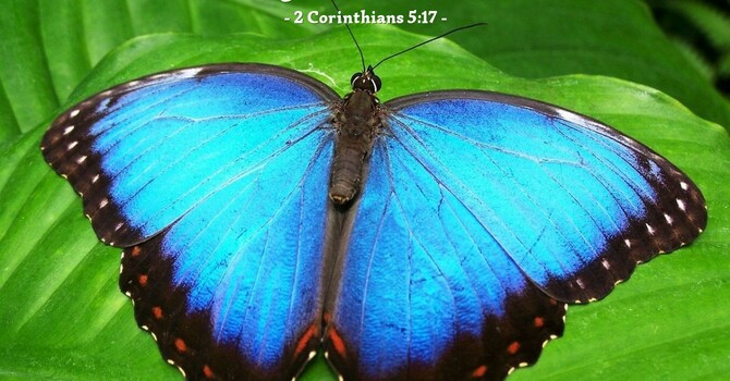 Wholeness ... in Christ