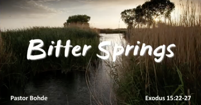 "Bitter Springs"