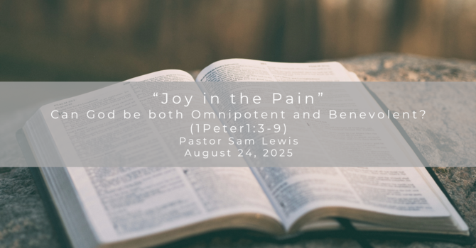 Joy In The Pain