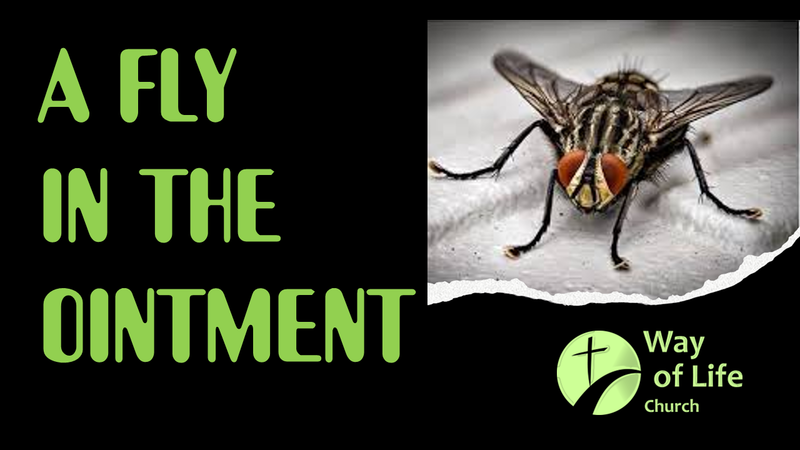 A Fly in the Ointment