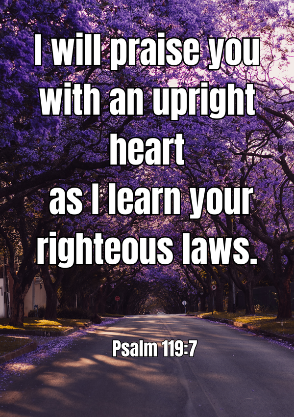 VERSE OF THE WEEK