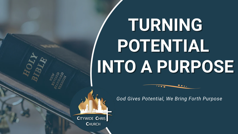 Turning Potential into Purpose