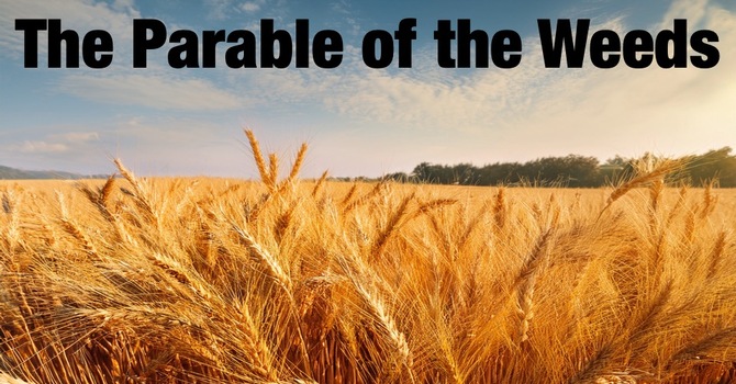 The Parable of the Weeds
