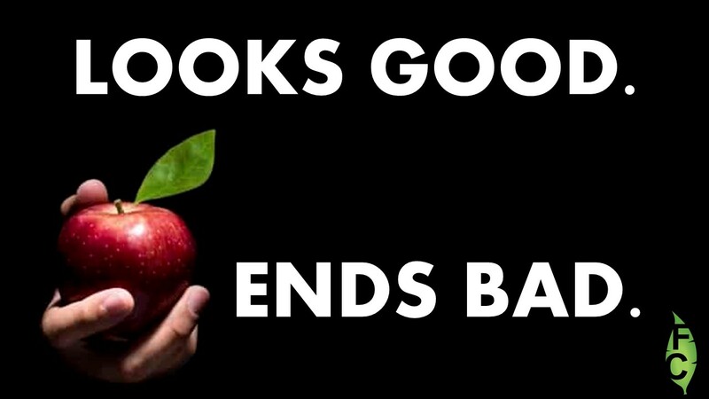 Looks Good Ends Bad (Part 2) | 08/17/25 | Pastor Mark Kinman