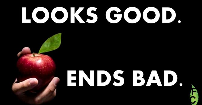 Looks Good Ends Bad (Part 2) | 08/17/25 | Pastor Mark Kinman