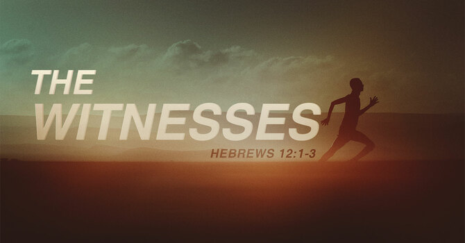 The Witnesses