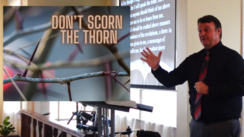 Don't Scorn the Thorn