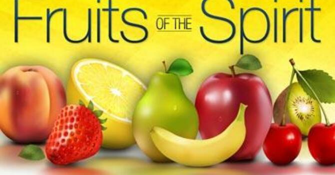 Fruits Are Greater Than Gifts