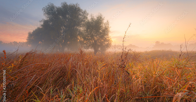 Remaining in His presence. image