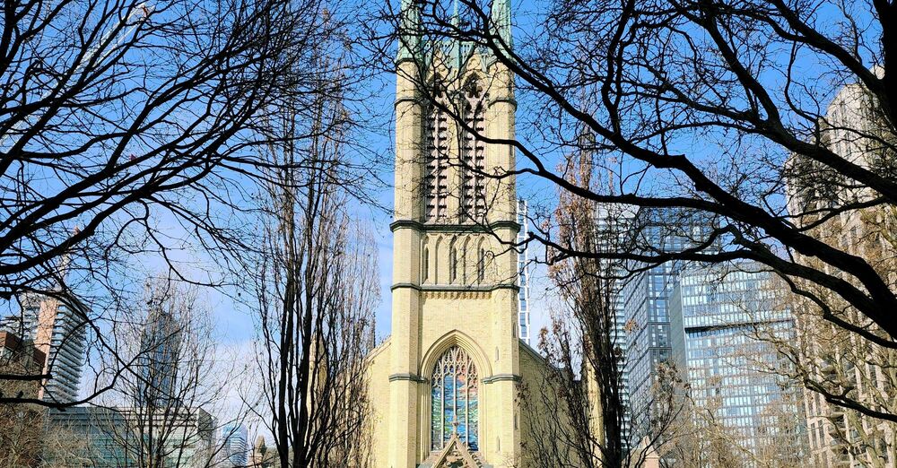 Lunch & Learn - Stewardship