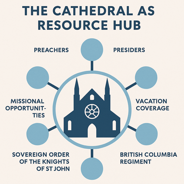The Cathedral as a Hub: