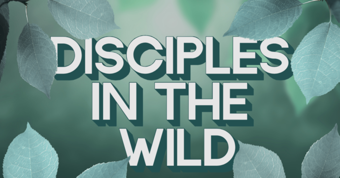 Disciples in the Wild