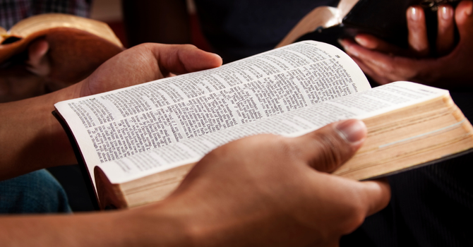 Men's Bible Study