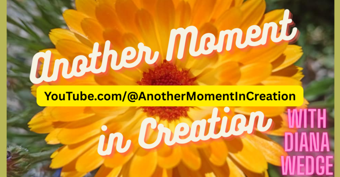 Another Moment in Creation is Now on YouTube! image
