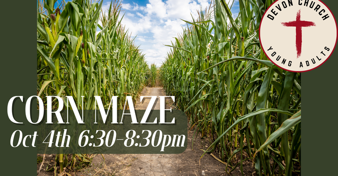 Corn Maze