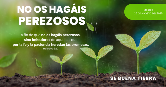 No os hagáis perezosos. image