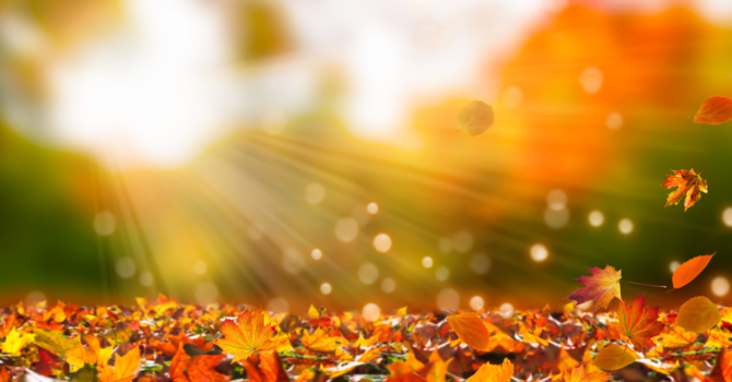 Fall Back In Sunday