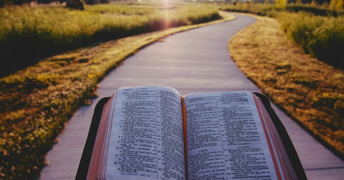 Outdoor contemplation