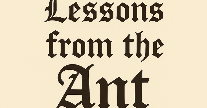 Lessons from the Ant