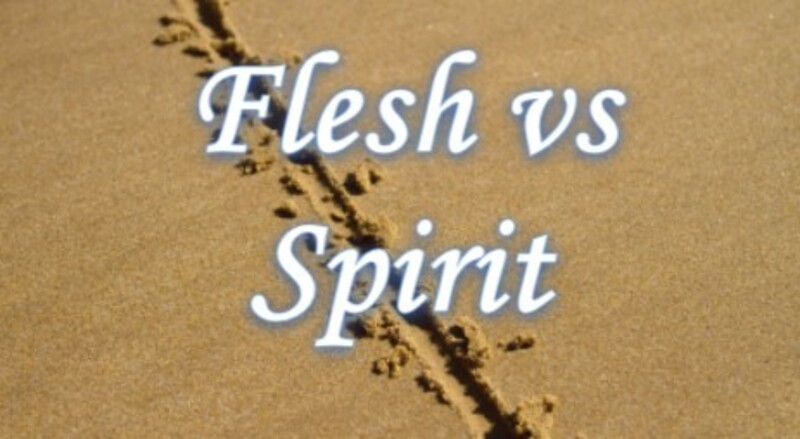 Lesson 2: Flesh vs Spirit 