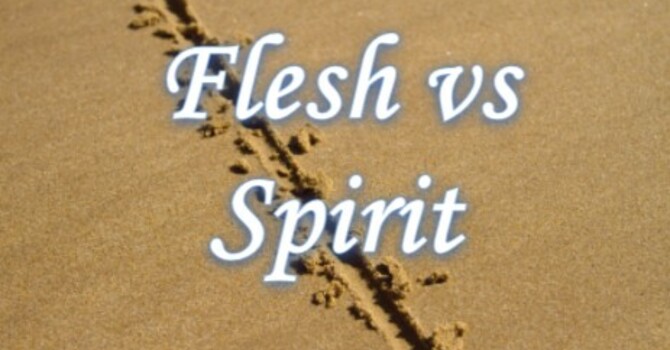 Lesson 2: Flesh vs Spirit 