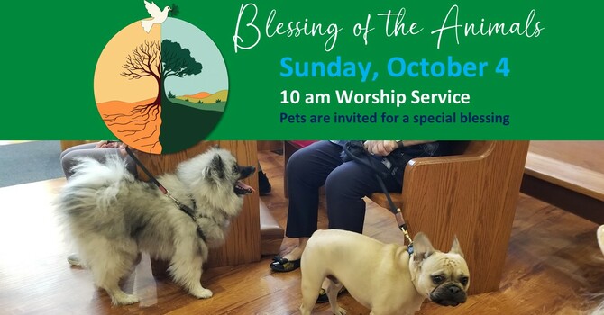Blessing of the Animals