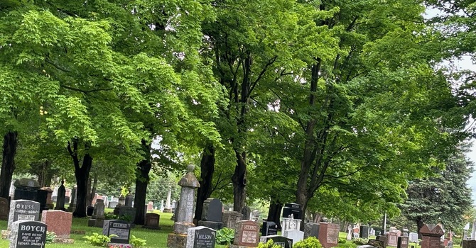 Cemetery Tour
