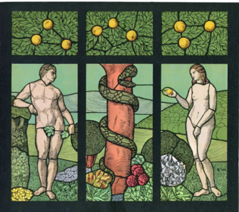 The Jesus Path To Enlightenment (S,LS)