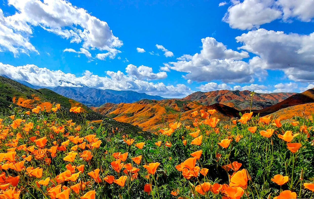 Slideshow image