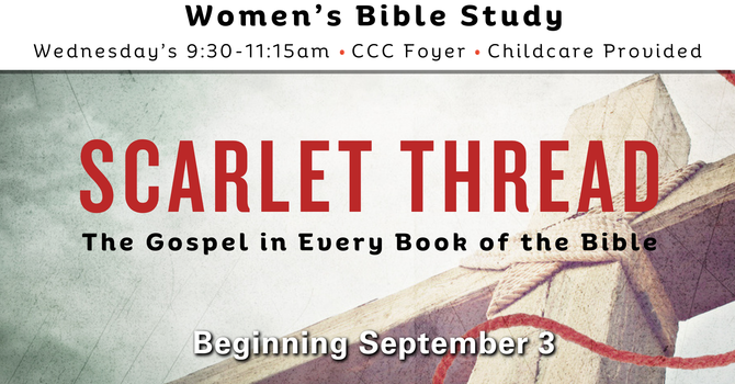 Women's Bible Study