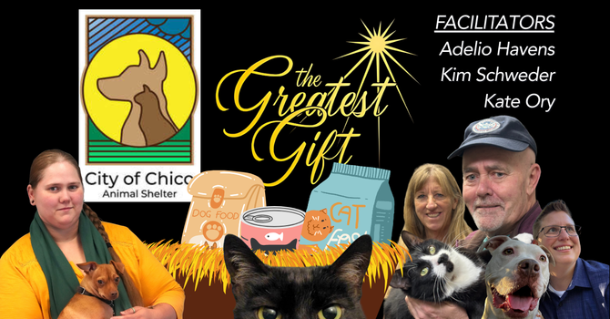 The Greatest Gift Project: Chico Animal Shelter